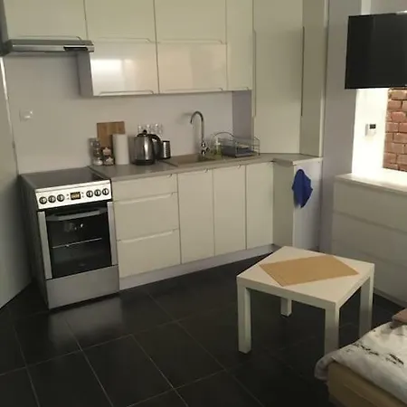 Stogi Plaza 1 Apartment